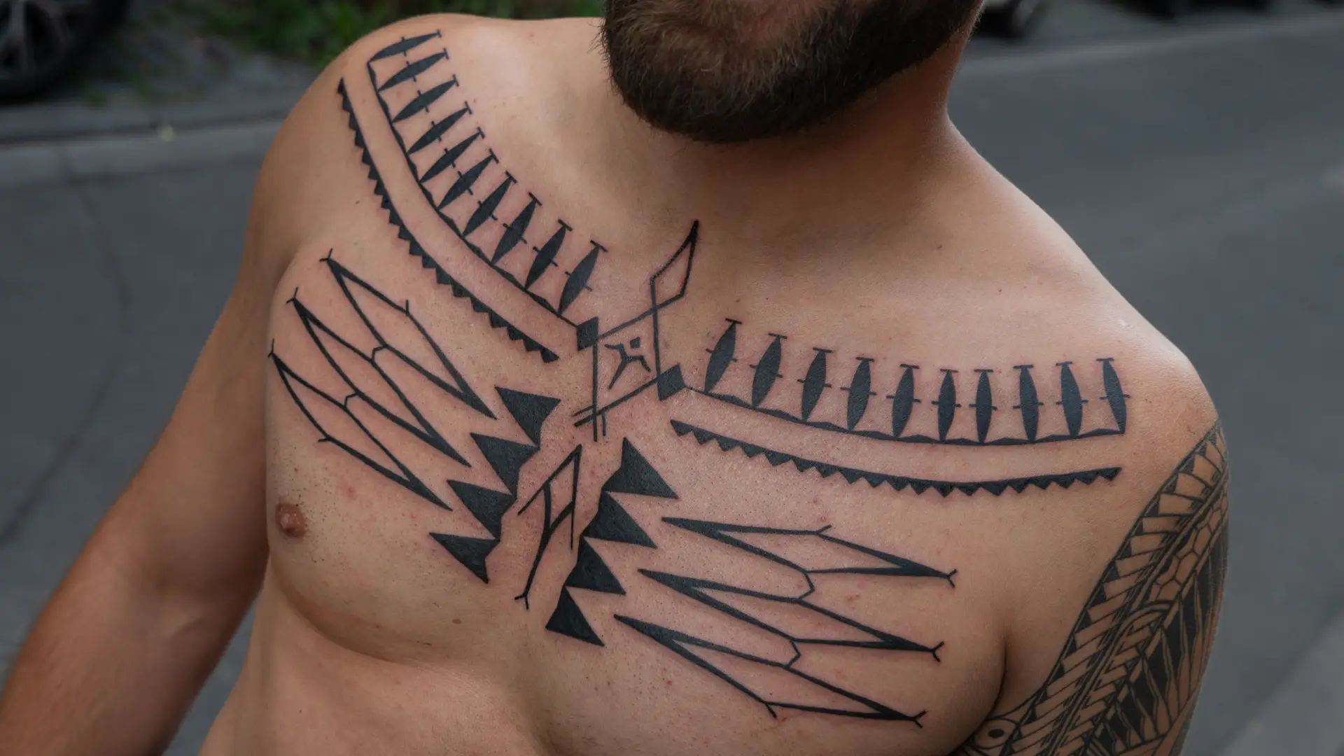 Macropolynesian chest